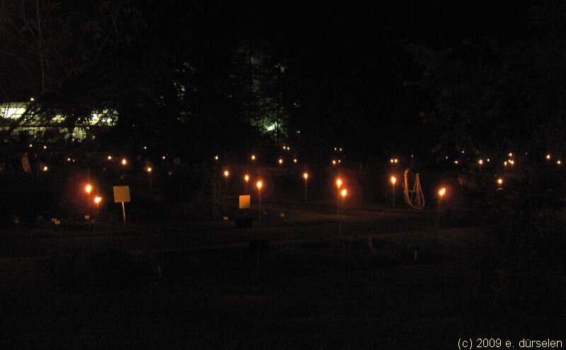 bgarten36.jpg