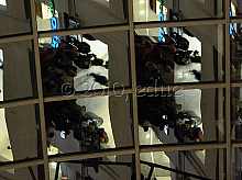 bp_09.jpg