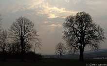 im9_003.jpg