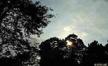 ega10_07.jpg