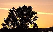 sky_064.jpg