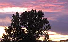 sky_145.jpg