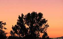 sky_153.jpg