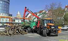 hm10_39.jpg