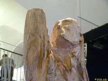 art1_43.jpg