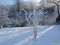 saale_089.jpg