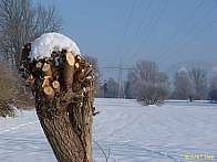 saale_128.jpg